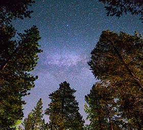 Starry skies over Sequoia. Photo credit: Alex McConahay