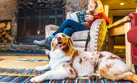 Tenaya Lodge guest with her dog in front of the fireplace