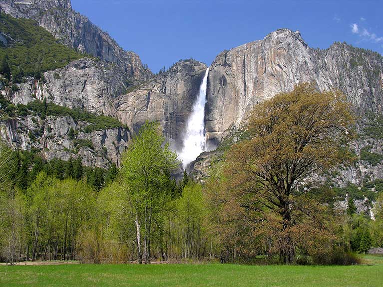 Cook's Meadow and Yosemite Falls in Yosemite Valley. Photo by Kenny Karst