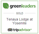 Pinnacle Award for Best On-site Support Staff