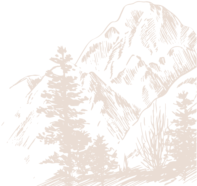 Line drawing of mountains and pine trees